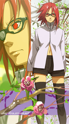 karin03a.jpg