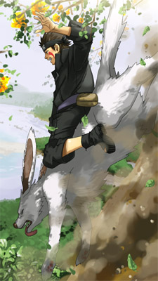 kiba02a.jpg
